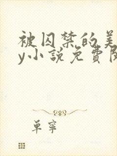 被囚禁的美人by小说免费阅读