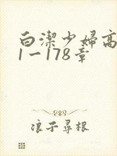 白洁少妇高义第1一178章