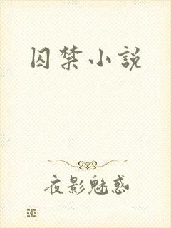 囚禁小说