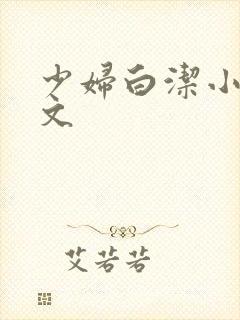 少妇白洁小说全文