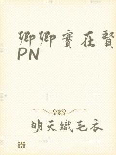 卿卿实在贤良NPN