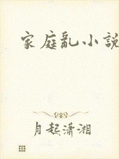 家庭乱小说