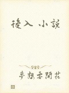 后入 小说