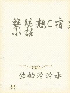 系统想C宿主的小说