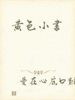 黄色小书