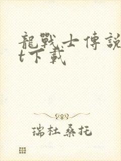 龙战士传说txt下载