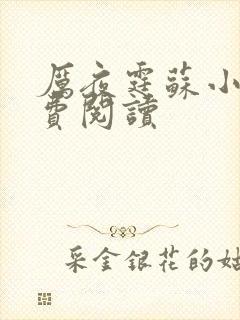 厉夜霆苏小汐免费阅读