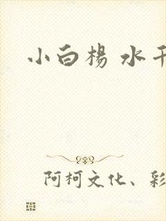 小白杨 水千丞