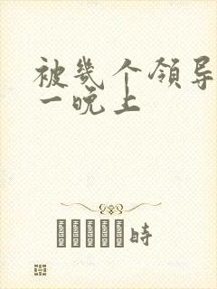 被几个领导玩弄一晚上