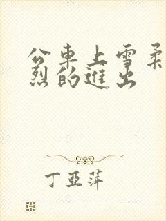 公车上雪柔被猛烈的进出