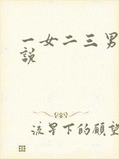 一女二三男事小说