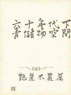 六十年代下乡知青储物空间