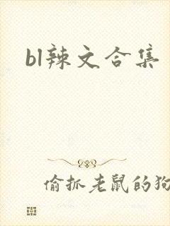 bl辣文合集