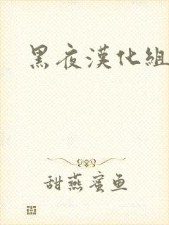 黑夜汉化组