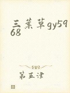 三叶草gy5968