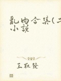 乱肉合集(二)小说