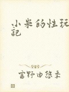 小米的性玩具日记