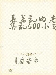 长篇乱肉老师合集乱500小说