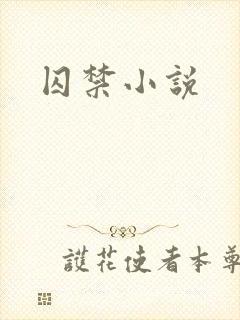 囚禁小说