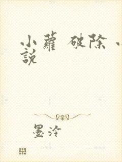 小萝 破除 小说