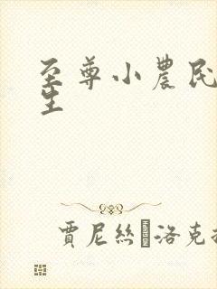 至尊小农民王木生