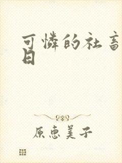 可怜的社畜东度日