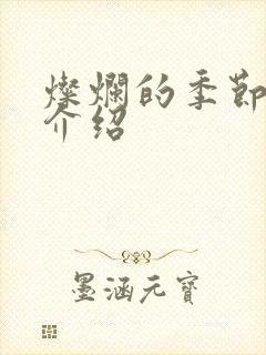 灿烂的季节剧情介绍