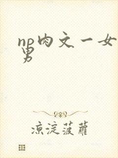 np肉文一女多男
