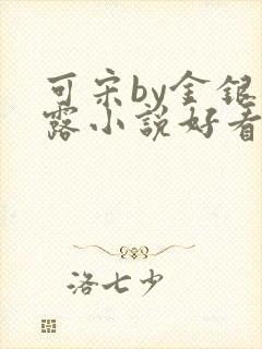 可宋by金银花露小说好看吗