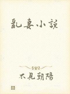 乱妻小说