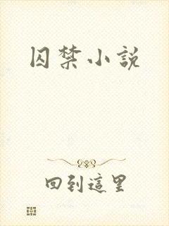 囚禁小说