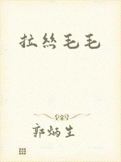 拉丝毛毛