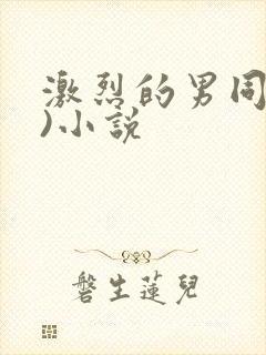 激烈的男同(h)小说