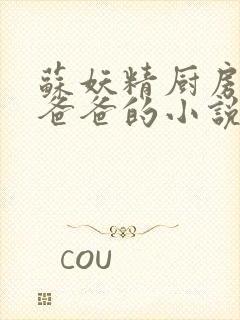 苏妖精厨房爹爹爸爸的小说