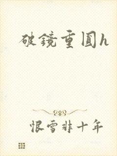 破镜重圆h
