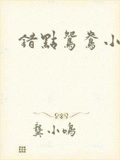 错点鸳鸯小说