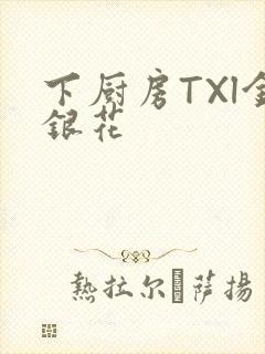 下厨房TXl金银花