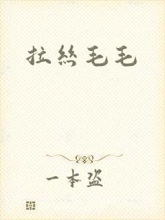 拉丝毛毛