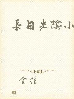 长日光阴小说
