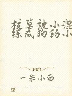 校草被小混混训练成狗的小说