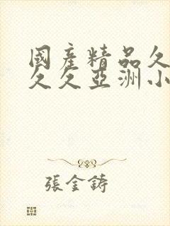 国产精品久久久久久亚洲小说