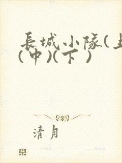 长城小队(上)(中)(下 )