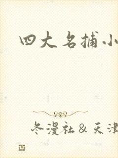 四大名捕小说