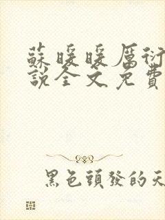 苏暖暖厉衍琛小说全文免费阅读