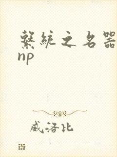 系统之名器攻略np