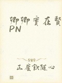 卿卿实在贤良NPN