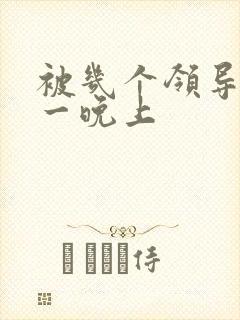 被几个领导玩弄一晚上