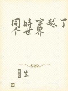 同时穿越了99个世界