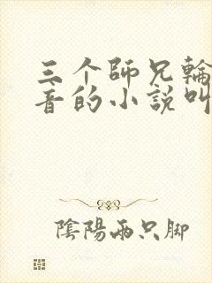 三个师兄轮流上音的小说叫什么