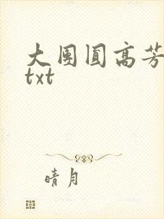 大团圆高芳小说txt